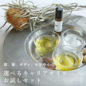 IׂICgCAZbg^4{y{fB wA ێ  AK zzo I[KjbN XLPA LA e IC }bT[W  RX ϕiz