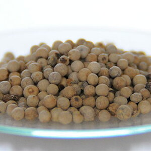 y15%OFFZ[zzCgybp[z[^20g 100% VR hCn[u ԕ XLPA wAPA  RX ϕi Ό ΂  ޗ