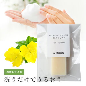 yzo[\[vETsukimisouij^TvTCYΌ ΂ I[KjbN RX  q ̃oA@\𐮂 玉肷Ȃ  }fC[ ێ ΂