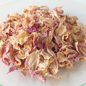 [YsNEAEgbg^20gyZ[ SALE hCn[u GLX o Ԃт ԕ o KN XLPA TVF nhCh wAPA  Â RX ϕi Ό ΂  