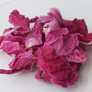 sIj[y^^100g hCn[u O {^ GLXo XLPA wAPA  RX   |v TVF n[uoX  ޗ n[u A} nhCh ΂