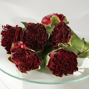 J[l[V^20g hCn[u  GLXo XLPA wAPA  RX  nhCh |v TVF n[uoX  ޗ hCt[ A}