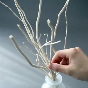 fBt[U[E[hEEB[XeBbNEzCgiVRiMj[30cm]^7{ZbgCeA A} nhCh ޗ tOX F i` tB ւp  