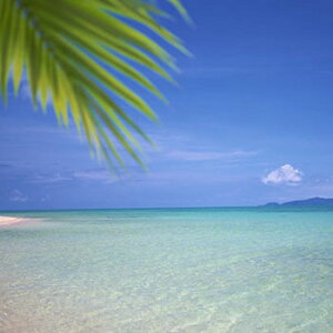 y15%OFFZ[zpVtBbNT[WEtOX^30ml Lh A} A}  RX ϕi ϕi Ό ΂  ޗ f Lh