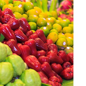 `Ci^EEtOX^30ml Lh A} A}  RX ϕi ϕi Ό ΂  ޗ f Lh