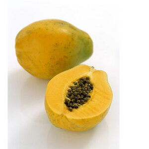 y15%OFFZ[zppCEtOX^30ml Lh A} A}  RX ϕi ϕi Ό ΂  ޗ f Lh