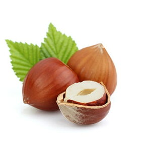 y15%OFFZ[zw[[ibcEtOX^10ml Lh A} A}  RX ϕi ϕi Ό ΂  ޗ f Lh