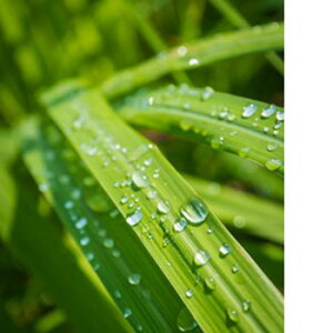 y15%OFFZ[zChbvEtOX^10ml Lh A} A}  RX ϕi ϕi Ό ΂  ޗ f Lh