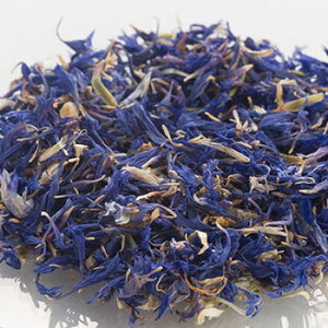 y15%OFFZ[zR[t[^100g hCn[u A n[u GLX o r GCWO XLPA wAPA  RX ϕi Ό ΂  ޗ