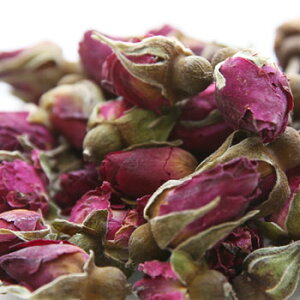 y15%OFFZ[z[Ŷڂ݁Ebh^20g 100% A hCn[u GLXo XLPA wAPA  RX ϕi Ό ΂  ޗ