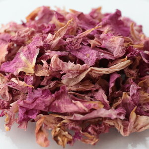 y15%OFFZ[z[YsN^100g hCn[u GLX o Ԃт ԕ o KN XLPA TVF nhCh wAPA  Â RX ϕi Ό ΂  ޗ