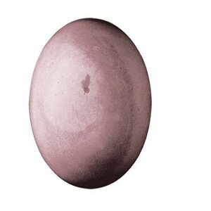 y15%OFFZ[z[hCPEh[^1 ΂ Ό ^ JԂg  c[ nhCh