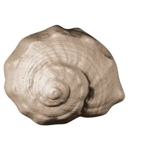 y15%OFFZ[z[hCPERN^1 ΂ Ό ^ JԂg  c[ nhCh