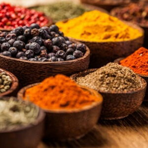 y15%OFFZ[zI[hXpCXEtOX^10ml Lh A}  RX ϕi ϕi Ό ΂  ޗ f