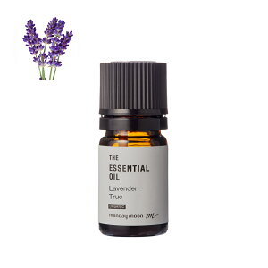 x_[gD[EGbZVICEI[KjbN^3mliL@͔|EOrganicj100% sA VR A Y  A} lC  IC t[ n[u  RX ϕi 