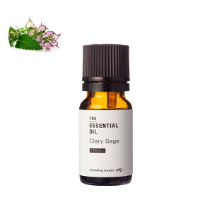 yP10{zNZ[WEGbZVICEI[KjbN^10ml AsA A i GbZVIC A}  RX ϕi Ό ΂  ޗ f A