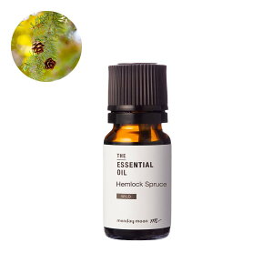 yP10{zwbNEXv[XEGbZVICE쐶^10ml 100% A tOX  GbZVIC A} Â  RX ϕi Ό ΂  ޗ 