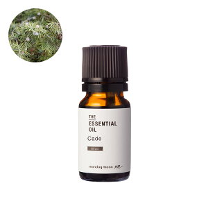 yP10{zP[hEGbZVICE쐶iP[hlYAWjp[^[j^10ml 100% A tOX   A} Â  RX ϕi Ό ΂  ޗ 