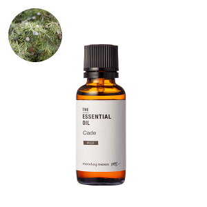 yP10{zP[hEGbZVICE쐶iP[hlYAWjp[^[j^30ml 100% A tOX   A} Â  RX ϕi Ό ΂  ޗ 