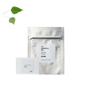 oT|vEGbZVICE쐶^eX^[y100% Y A VR  A}  gCA eX^[  Gbgz