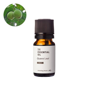 yP10{zOAo[tEGbZVICE쐶^10ml 100% t[eB VgX XpCV[ EbfB tbV bNX XgXɘa A sA A i  A}