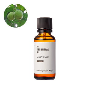 yP10{zOAo[tEGbZVICE쐶^30ml 100% t[eB VgX XpCV[ EbfB tbV bNX XgXɘa A sA A i  A}