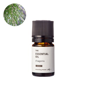 tSjAEGbZVICE쐶^5ml 100% sA VR A bNX lC XgXɘa i Y  A} IC  RX ϕi Â Ό ΂ 