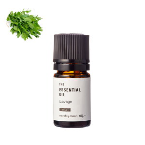 yP10{zx[WEGbZVICE쐶(x[WExbW)^2ml 100% sA VR A bNX lC XgXɘa i Y  A} IC  RX 