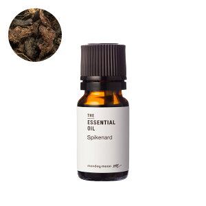 XpCNi[hEGbZVIC(W^}V)^10ml 100% sA VR A bNX lC XgXɘa i Y  A} IC  RX ϕi Â Ό 