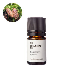 GQ}Xv[XEGbZVIC^5ml 100% sA VR A bNX lC XgXɘa i Y  A} IC  RX ϕi Â Ό ΂