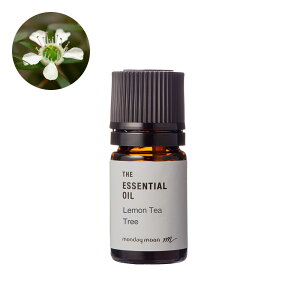 eB[c[EGbZVIC(eB[g[)^1mly100% sA VR A bNX lC XgXɘa i Y  A} IC  RX ϕi 