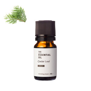 V_[[tEGbZVICE쐶^10ml 100% sA VR A Y  A} lC  IC EbfB  RX ϕi Â Ό ΂  ޗ f 