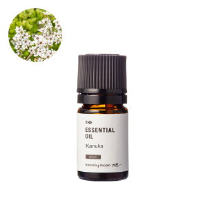 yP10{zJkJEGbZVICE쐶(zCgeB[c[EzCgeB[g[)^5ml100% sA VR A Y  A} lC  IC EbfB RX 