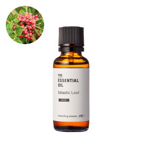 }XeBbN[tEGbZVICE쐶^30ml 100% sA VR A Y  A} lC  IC O[ n[o oT  RX ϕi Â Ό ΂