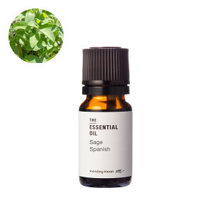 スパニッシュセージ・エッセンシャルオイル/10ml 100% ピュア 天然 植物 無添加 精油 アロマ 人気 香水 オイル グリーン フレッシュ 手作り コスメ 化粧品 手づくり 石鹸 石けん 原料 材料 素