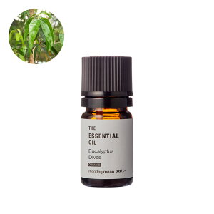 [JfBxXEGbZVICEI[KjbN^1mliL@͔|EOrganicjy100% sA VR A Y  A} lC  IC n[o n[u  RX ϕi 