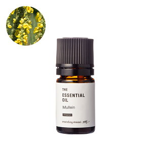 }CEGbZVICEI[KjbN^2mliL@͔|EOrganicj 100% sA VR A Y  A} IC  I[fR [Xv[ [fBt[U[