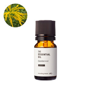 S[fbhEGbZVICEI[KjbN^10mliL@͔|EOrganicj 100% sA VR A Y  A} IC  I[fR [Xv[ [fBt[U