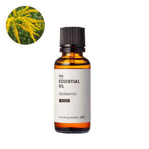 S[fbhEGbZVICEI[KjbN^30mliL@͔|EOrganicj 100% sA VR A Y  A} IC  I[fR [Xv[ [fBt[U