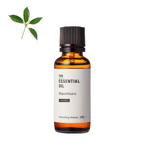 Bc@EGbZVICEI[KjbN^30mliL@͔|EOrganicj 100% sA VR A Y  A} IC  I[fR [Xv[ [fBt[U[