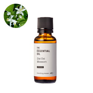 _C_CubTEGbZVICEI[KjbN^30mliL@͔|EOrganicj 100% sA VR A Y  A} IC  I[fR [Xv[ [fBt[