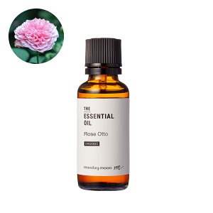 [YEIbg[EI[KjbN^30mliL@͔|EOrganicj100% sA VR A Y  A} lC  IC KN t[  RX  uh tOX  Ⴂ G