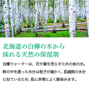 ホワイトバーチウォーター/200ml【100%植物性芳香蒸留水そのまま化粧水として手作り化粧水白樺透明感保湿ハンドメイドコスメ美容液化粧品原料材料素材フェイスボディスキンケアラッキーシール対応】