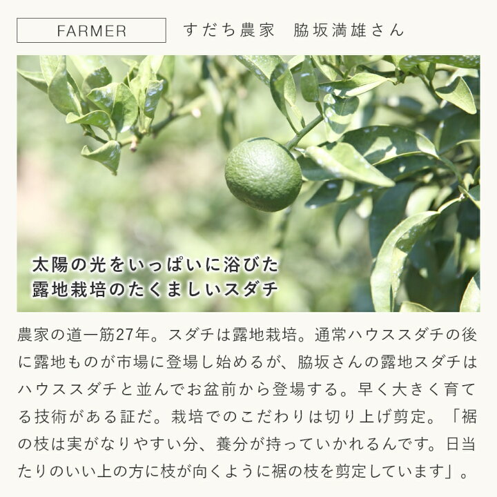 楽天市場 10 Offセール メール便0円 スダチ エッセンシャルオイル 5ml アロマ エッセンシャルオイル 天然 100 すだち シトラス 柑橘 国産 高品質 酢橘 リフレッシュ リラックス ストレスケア アロマテラピー 手作り コスメ 化粧品 石けん 材料 マンデイ 楽天市場 10 Offセール メール便0円 スダチ エッセンシャルオイル 5ml アロマ エッセンシャルオイル 天然 100 すだち シトラス 柑橘 国産 高品質 酢橘 リフレッシュ リラックス ストレスケア アロマテラピー 手作り コスメ 化粧品 石けん 材料 マンデイ