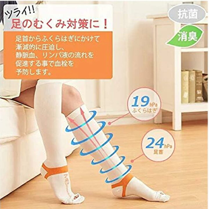 楽天市場】＼ 2/3 10:00～ 早い者勝ち！！ 長岡web物産展 1000円OFF 