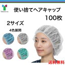 ＼ ポイント2倍！！／ コスパ最強！！＜使い捨てキャップ＞ 100枚 大きめ 白 青 ピンク 緑 ディスポキャップ 不織布 …