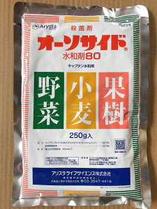 I[\TCha80@250g