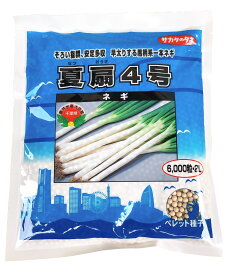 夏扇4号　6000粒　ねぎ　ペレット種子