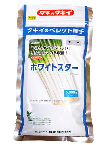 zCgX^[@5000@˂@ybgq@^LCz