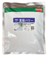 夏扇パワー　6000粒　ねぎ　ペレット種子